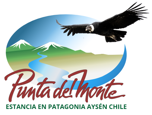 Estancia Punta del Monte Aysén Chile